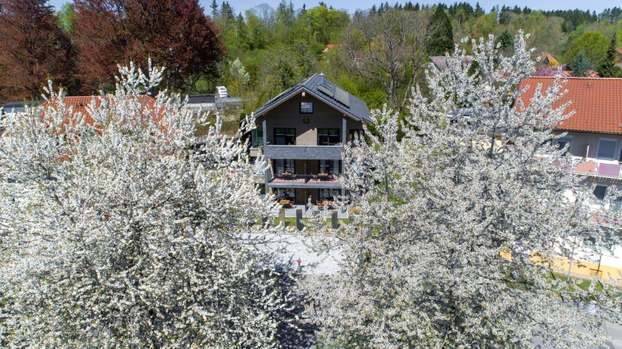 באד דירהיים Invita Natur-Chalets Penthouse - Familienurlaub Im Schwarzwald - 240Qm מראה חיצוני תמונה